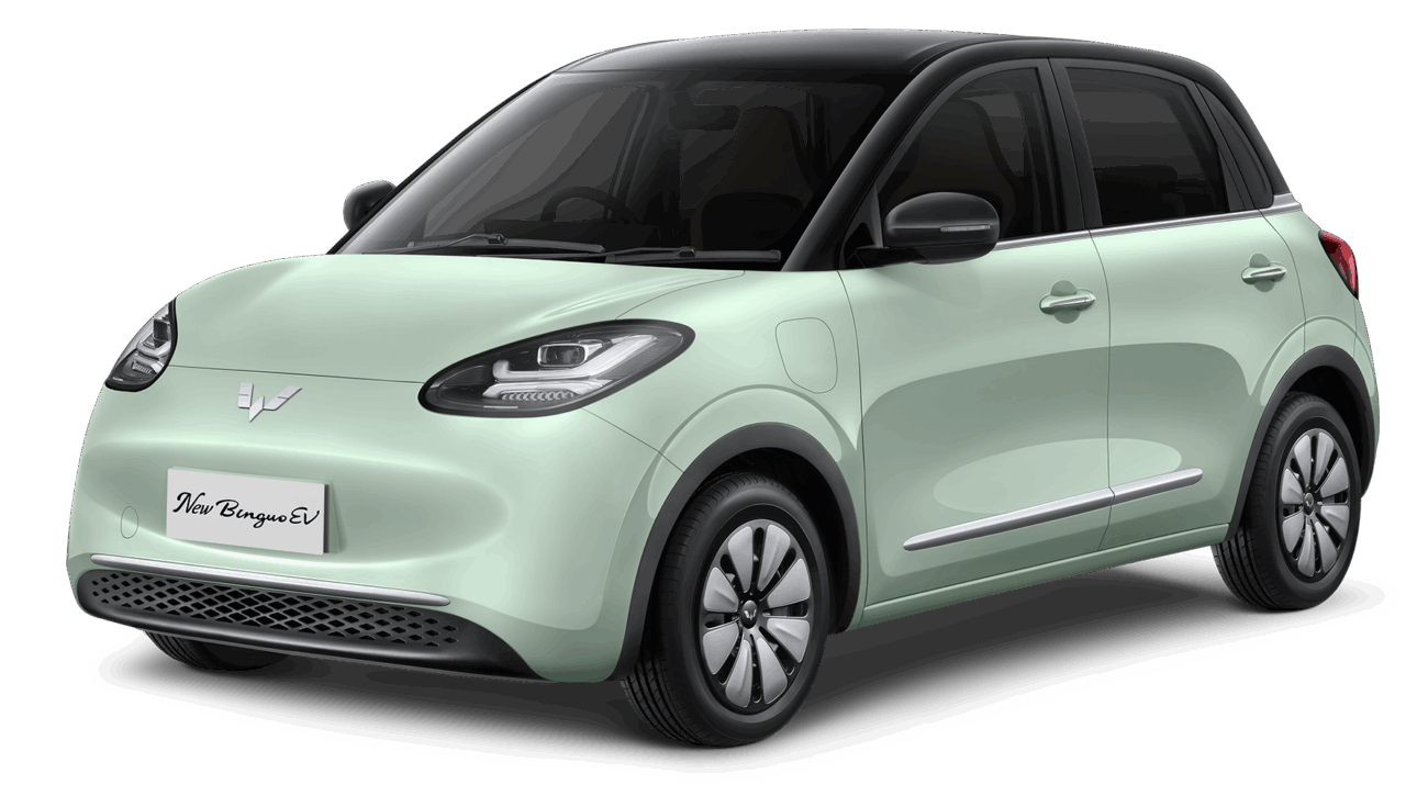 New Binguo EV